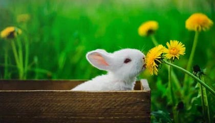 邵佳一首秀 国足2026年首期集训名单出炉